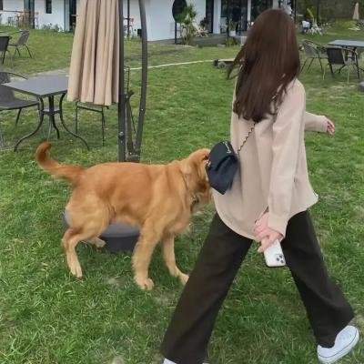 蜘蛛女